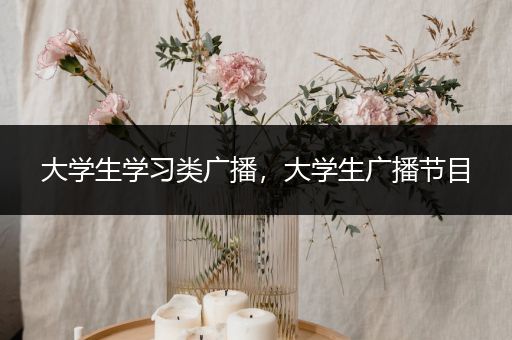 大学生学习类广播，大学生广播节目