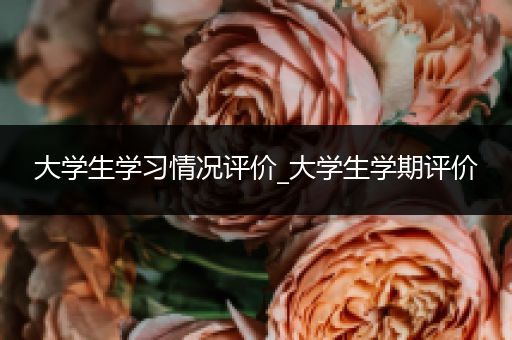 大学生学习情况评价_大学生学期评价