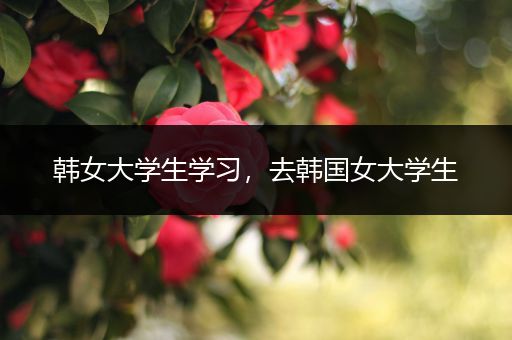 韩女大学生学习，去韩国女大学生