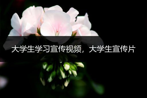 大学生学习宣传视频，大学生宣传片