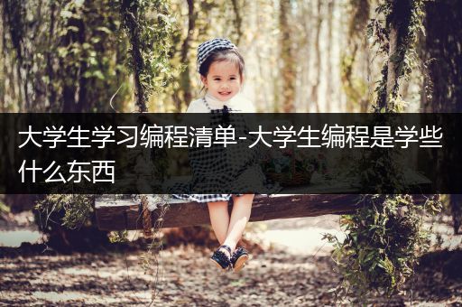 大学生学习编程清单-大学生编程是学些什么东西