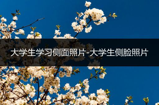 大学生学习侧面照片-大学生侧脸照片