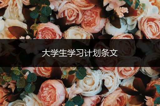 大学生学习计划条文