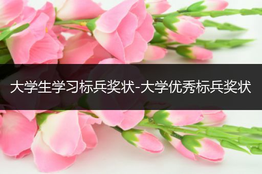 大学生学习标兵奖状-大学优秀标兵奖状