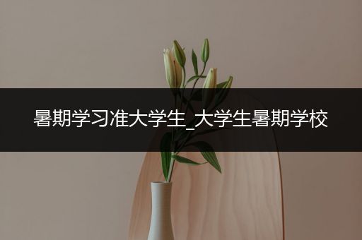 暑期学习准大学生_大学生暑期学校
