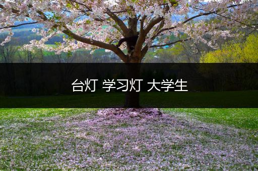 台灯 学习灯 大学生