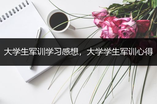 大学生军训学习感想，大学学生军训心得