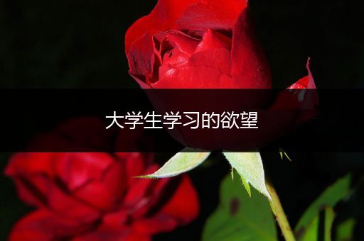大学生学习的欲望