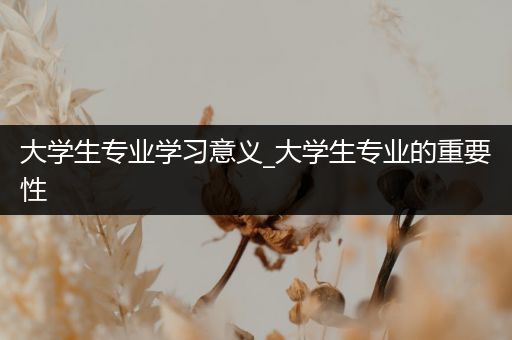 大学生专业学习意义_大学生专业的重要性