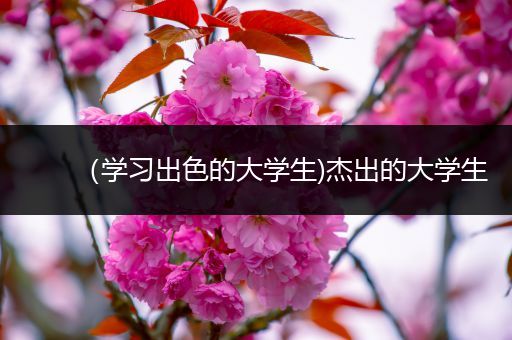 （学习出色的大学生)杰出的大学生