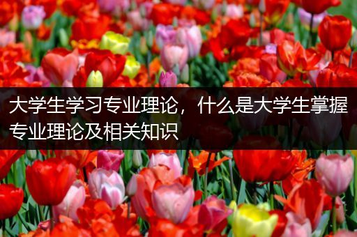 大学生学习专业理论，什么是大学生掌握专业理论及相关知识