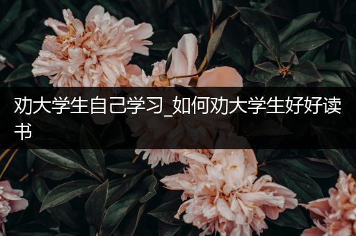 劝大学生自己学习_如何劝大学生好好读书