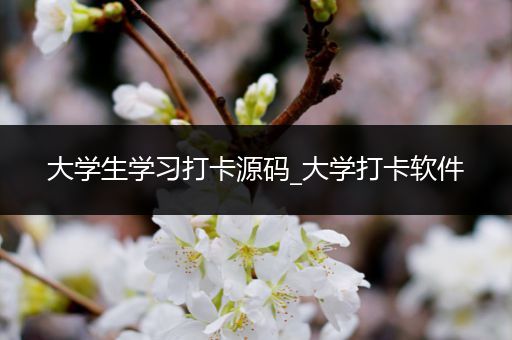 大学生学习打卡源码_大学打卡软件