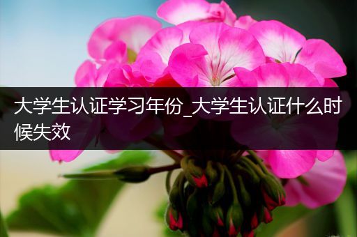 大学生认证学习年份_大学生认证什么时候失效