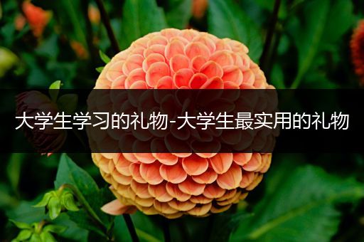 大学生学习的礼物-大学生最实用的礼物
