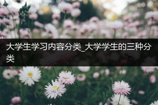 大学生学习内容分类_大学学生的三种分类