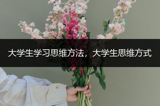 大学生学习思维方法，大学生思维方式