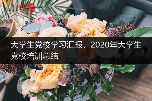 大学生党校学习汇报，2020年大学生党校培训总结
