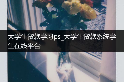 大学生贷款学习ps_大学生贷款系统学生在线平台