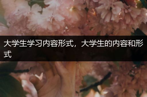 大学生学习内容形式，大学生的内容和形式