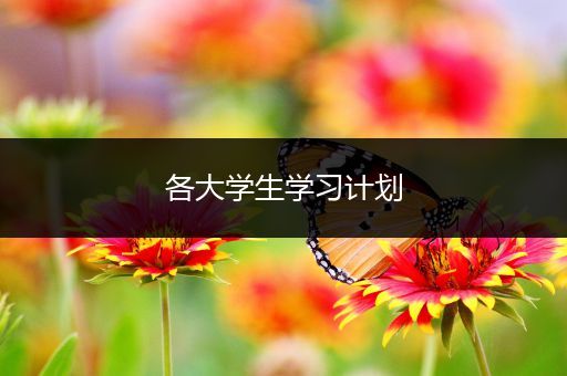 各大学生学习计划