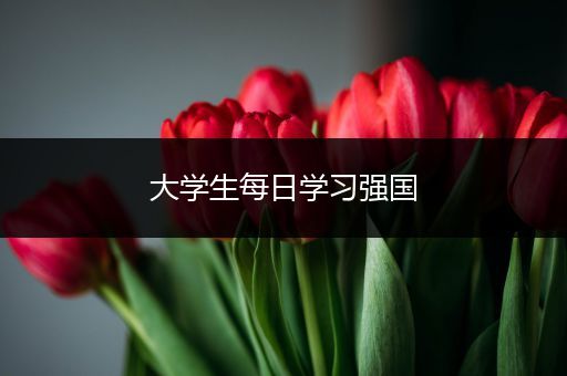 大学生每日学习强国