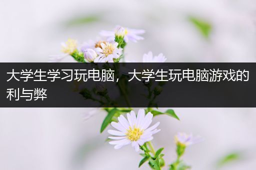 大学生学习玩电脑，大学生玩电脑游戏的利与弊