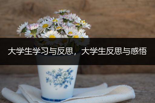 大学生学习与反思，大学生反思与感悟