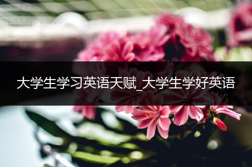 大学生学习英语天赋_大学生学好英语