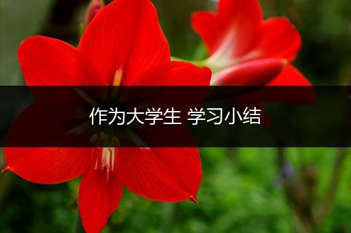 作为大学生 学习小结