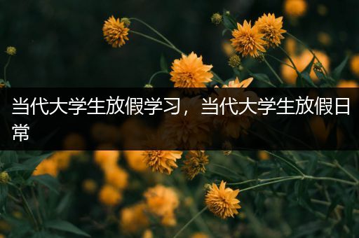 当代大学生放假学习，当代大学生放假日常