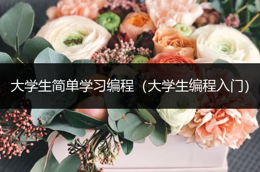 大学生简单学习编程（大学生编程入门）