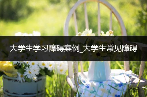大学生学习障碍案例_大学生常见障碍