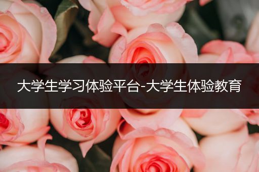 大学生学习体验平台-大学生体验教育