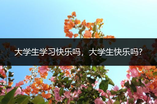 大学生学习快乐吗，大学生快乐吗?