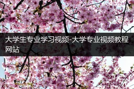 大学生专业学习视频-大学专业视频教程网站