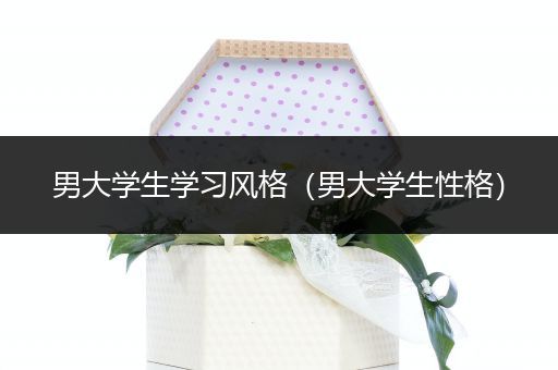 男大学生学习风格（男大学生性格）