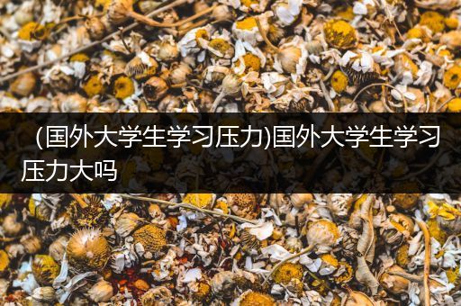 （国外大学生学习压力)国外大学生学习压力大吗