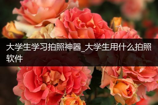 大学生学习拍照神器_大学生用什么拍照软件
