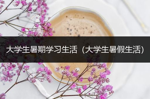大学生暑期学习生活（大学生暑假生活）