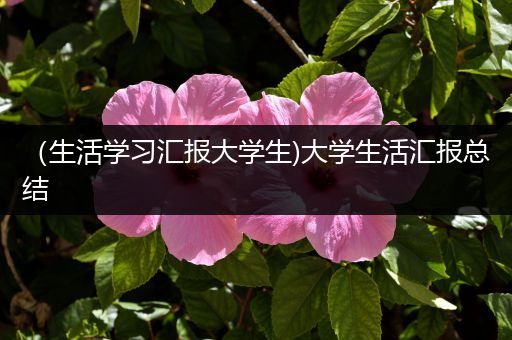 （生活学习汇报大学生)大学生活汇报总结