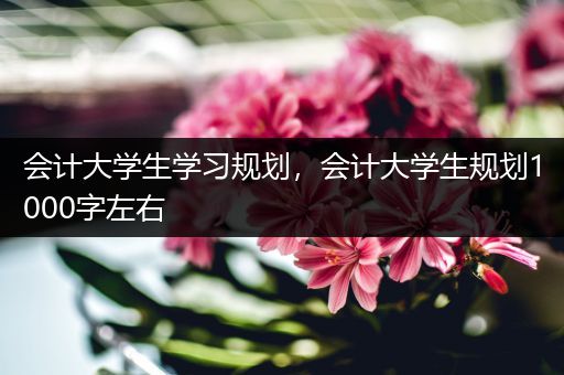 会计大学生学习规划，会计大学生规划1000字左右