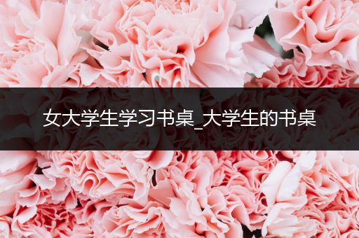 女大学生学习书桌_大学生的书桌