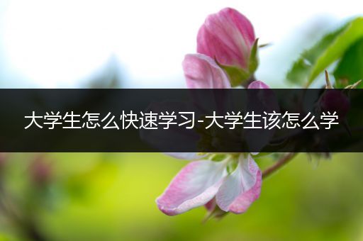 大学生怎么快速学习-大学生该怎么学