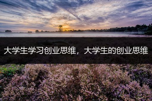 大学生学习创业思维，大学生的创业思维