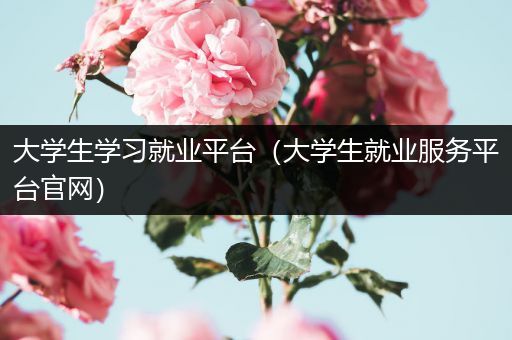 大学生学习就业平台（大学生就业服务平台官网）