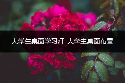 大学生桌面学习灯_大学生桌面布置