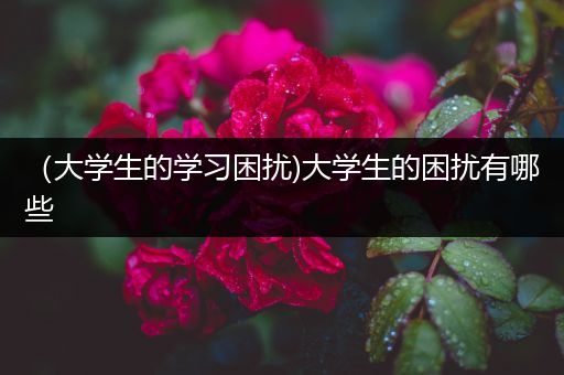 （大学生的学习困扰)大学生的困扰有哪些