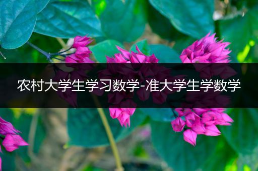 农村大学生学习数学-准大学生学数学