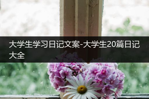 大学生学习日记文案-大学生20篇日记大全